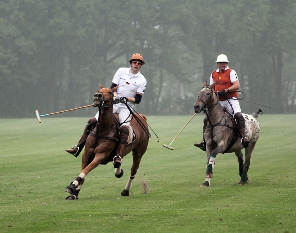 Polo_Art   133.jpg